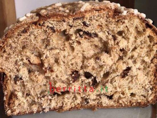 PANETTONE al CANNONAU CAPO F